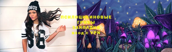 индика Алзамай