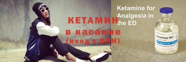 индика Алзамай