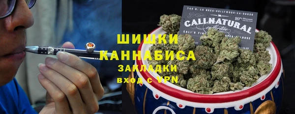 индика Алзамай