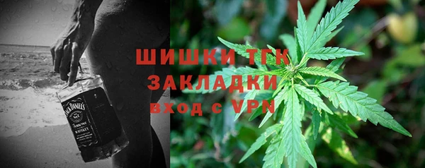 индика Алзамай